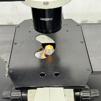 Olympus CK30 Inverted Microscope image 3